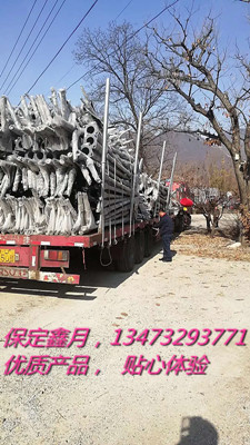 太陽能路燈,太陽能路燈廠家